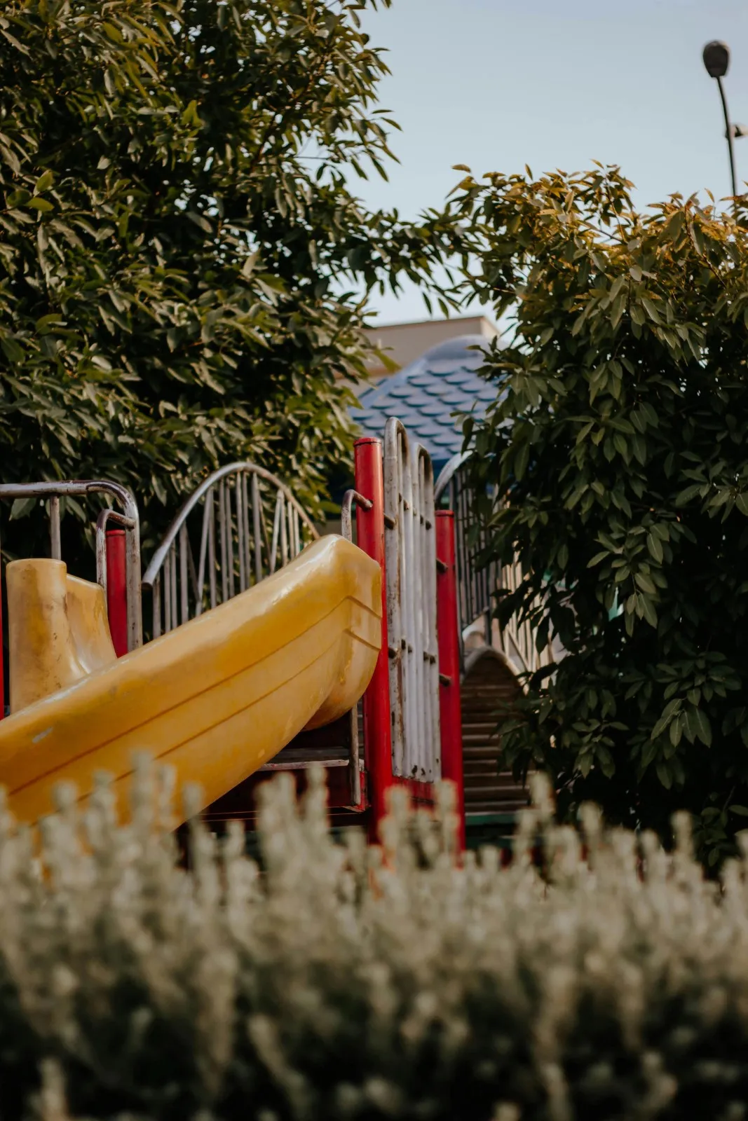 School Image